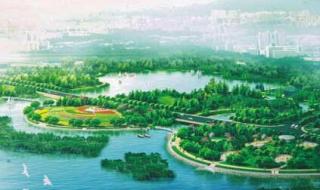 红树林海滨公园怎么停车预约 深圳红树林海滨公园